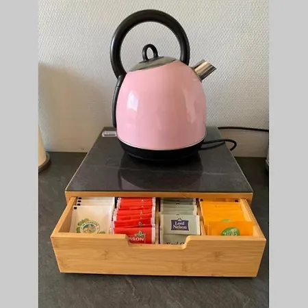 Apartment Geneve A La Frontiere Superbe Appartement Gaillard